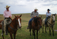 Rancher Shearer mit seinen Söhnen